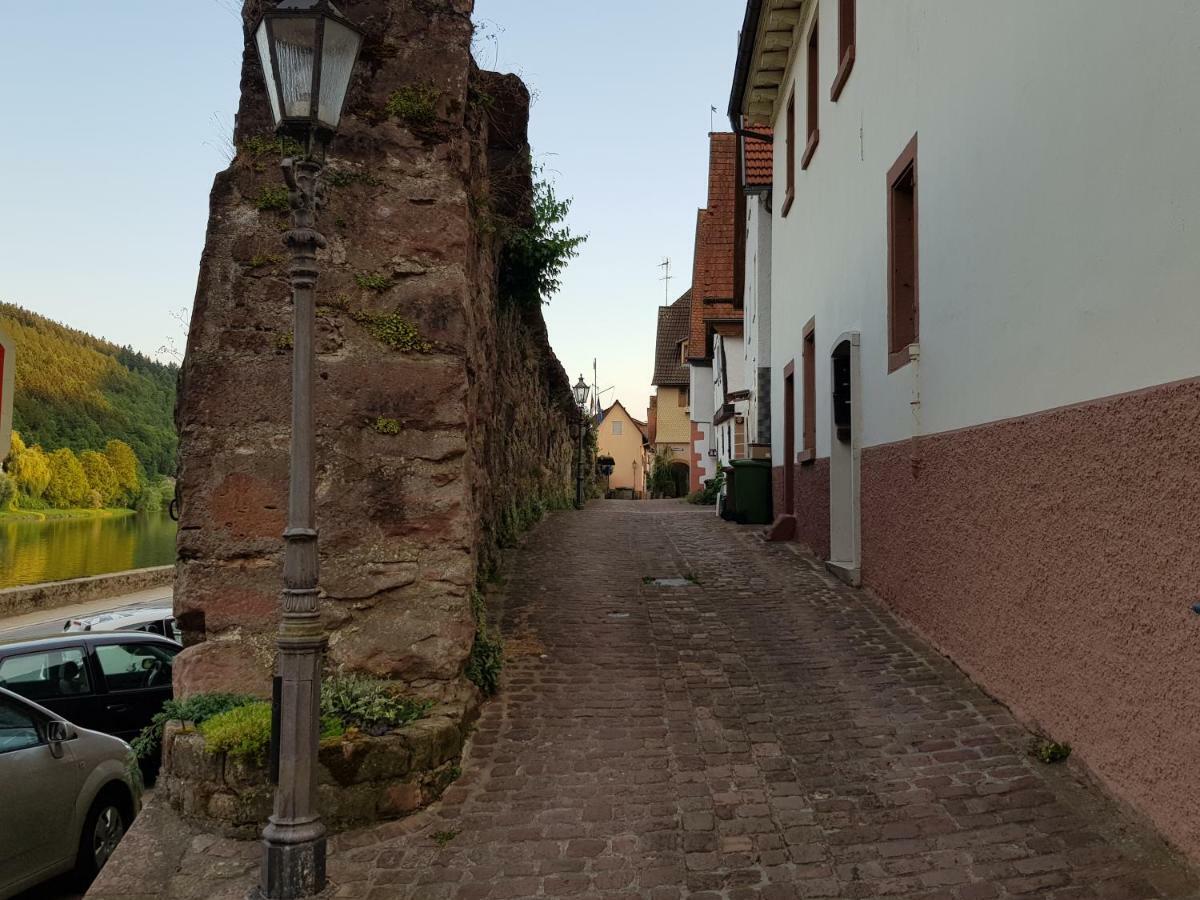 Zauberhafte Wohnung In Der Naehe Von Heidelberg, Top Lage ฮิชฮอร์น ภายนอก รูปภาพ