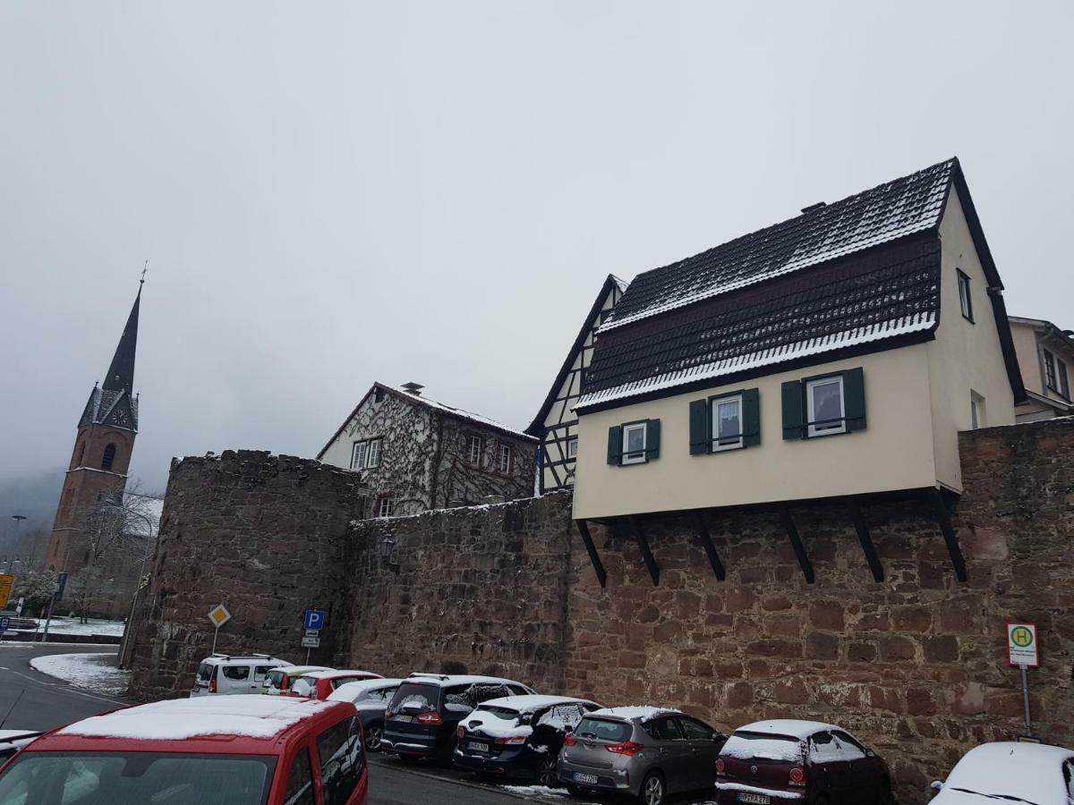 Zauberhafte Wohnung In Der Naehe Von Heidelberg, Top Lage ฮิชฮอร์น ภายนอก รูปภาพ
