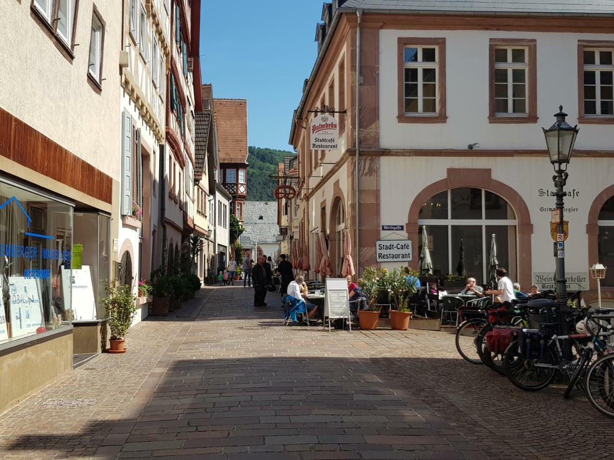 Zauberhafte Wohnung In Der Naehe Von Heidelberg, Top Lage ฮิชฮอร์น ภายนอก รูปภาพ