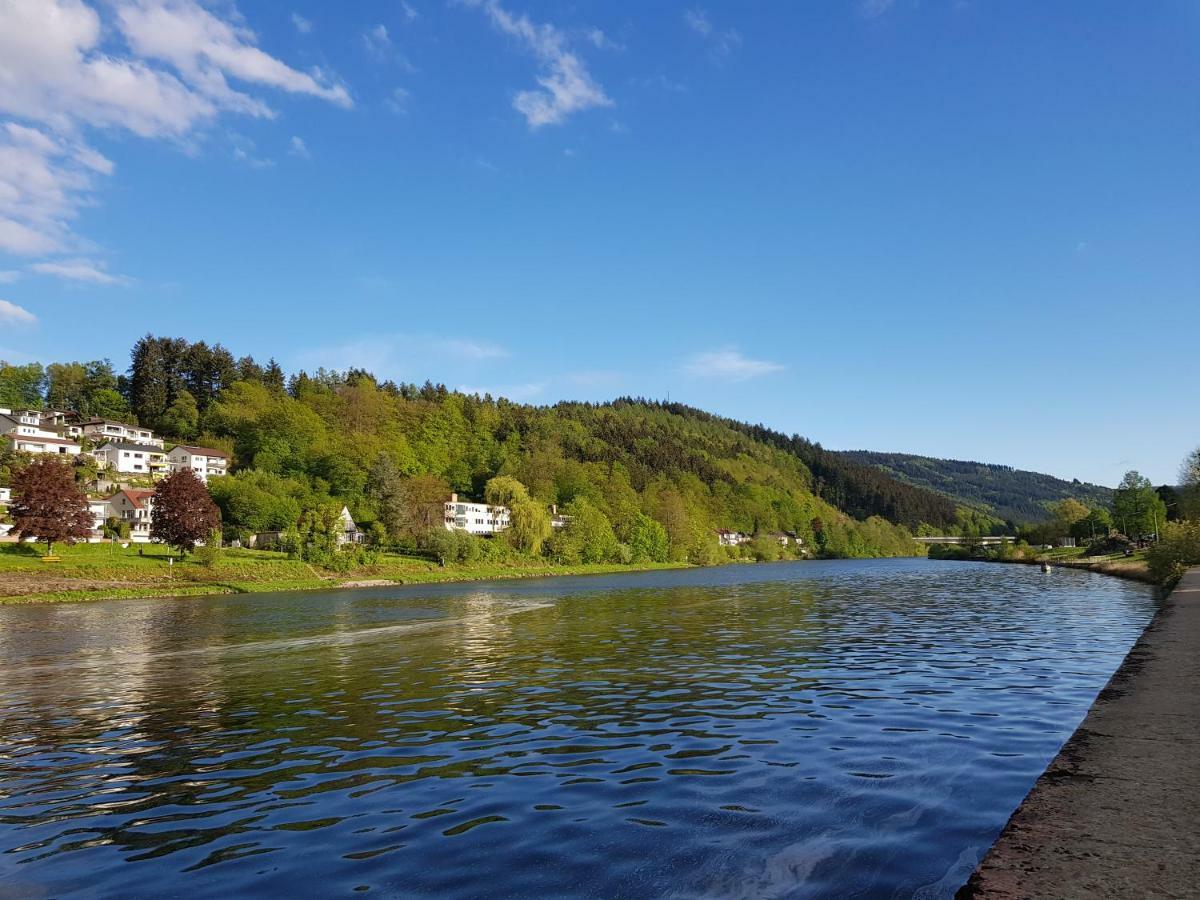 Zauberhafte Wohnung In Der Naehe Von Heidelberg, Top Lage ฮิชฮอร์น ภายนอก รูปภาพ