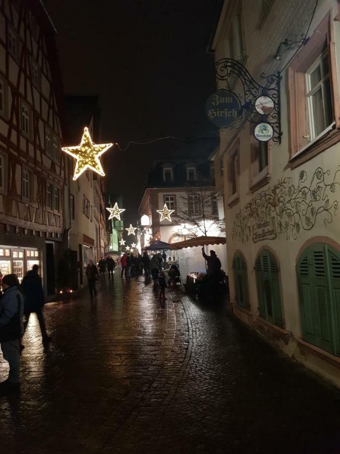 Zauberhafte Wohnung In Der Naehe Von Heidelberg, Top Lage ฮิชฮอร์น ภายนอก รูปภาพ