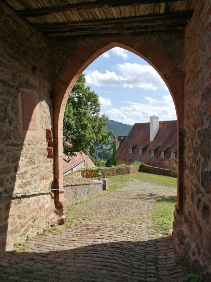 Zauberhafte Wohnung In Der Naehe Von Heidelberg, Top Lage ฮิชฮอร์น ภายนอก รูปภาพ