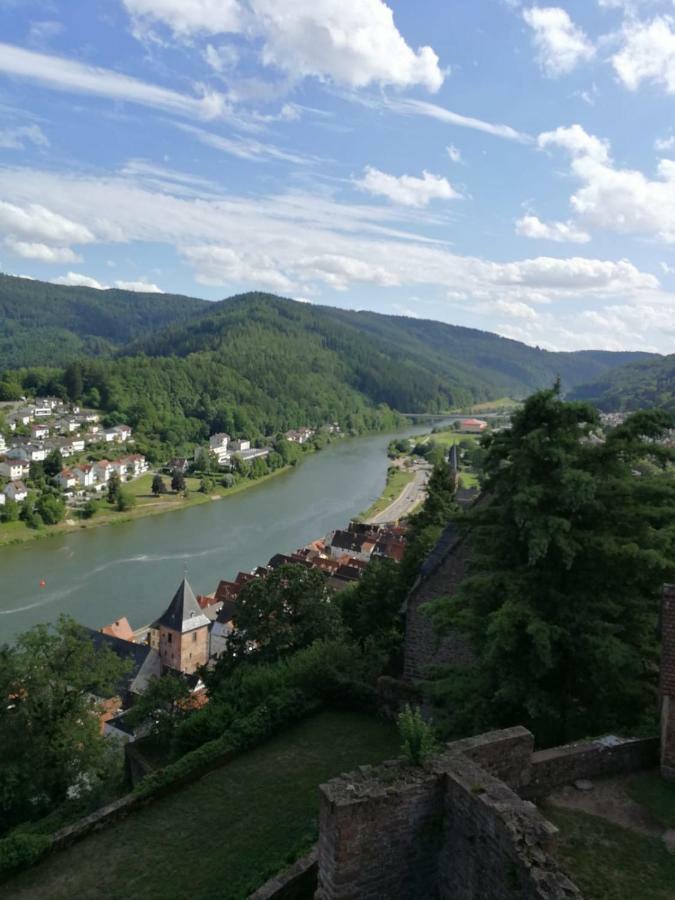 Zauberhafte Wohnung In Der Naehe Von Heidelberg, Top Lage ฮิชฮอร์น ภายนอก รูปภาพ